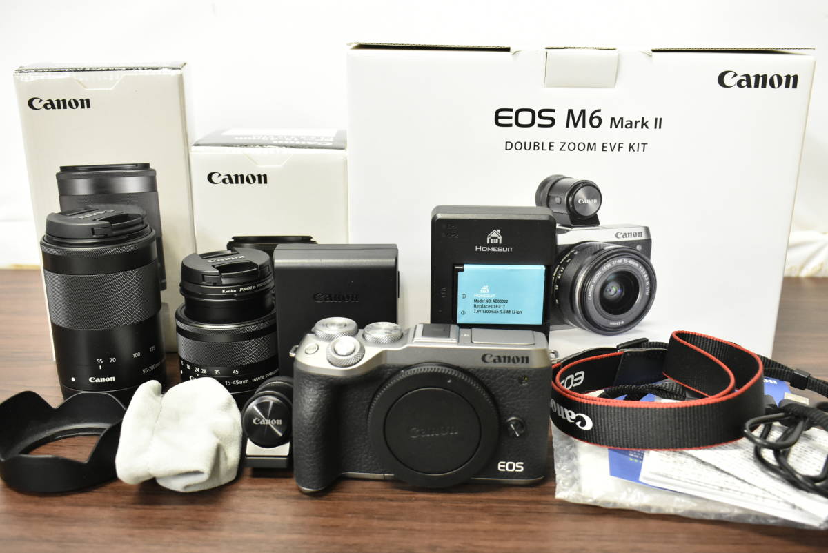 Canon EOS M6 MARK II Wズームキット BK+SDXCカード